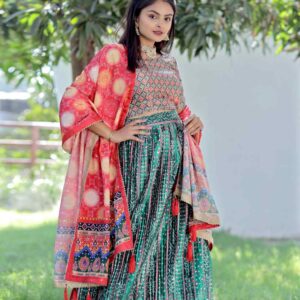 Multicolored Embroidred Chaniya Choli