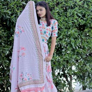 Embroidered Chaniya Choli